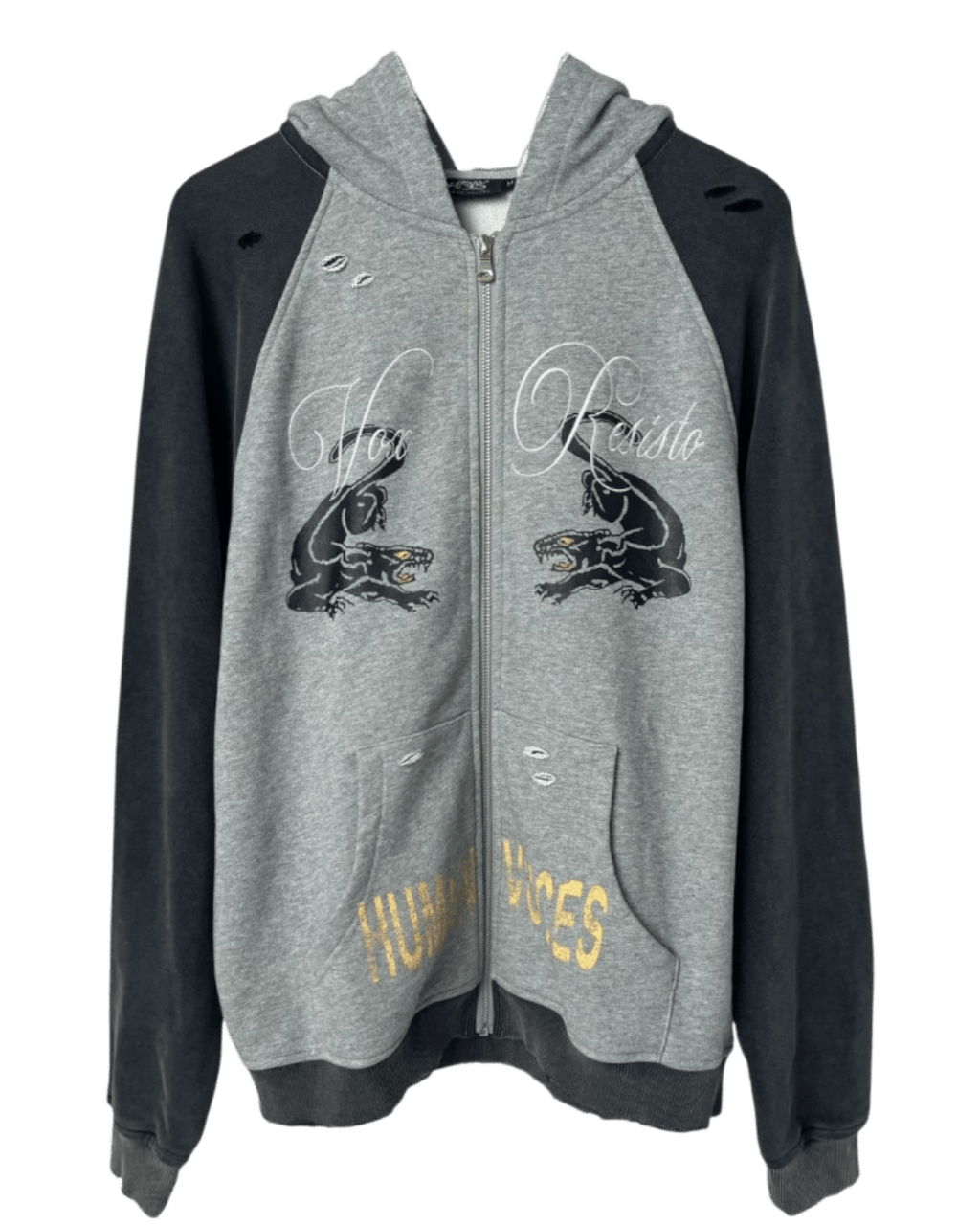 HUMAN VOICES Zip Hoodie - SWAGLAB