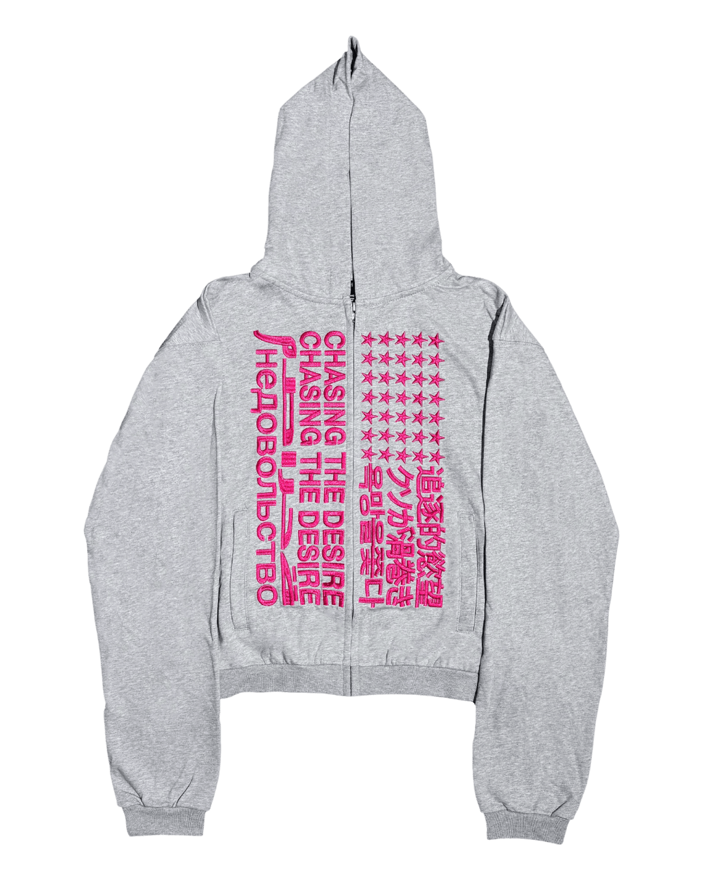 RYE CHASIN Hoodie - SWAGLAB